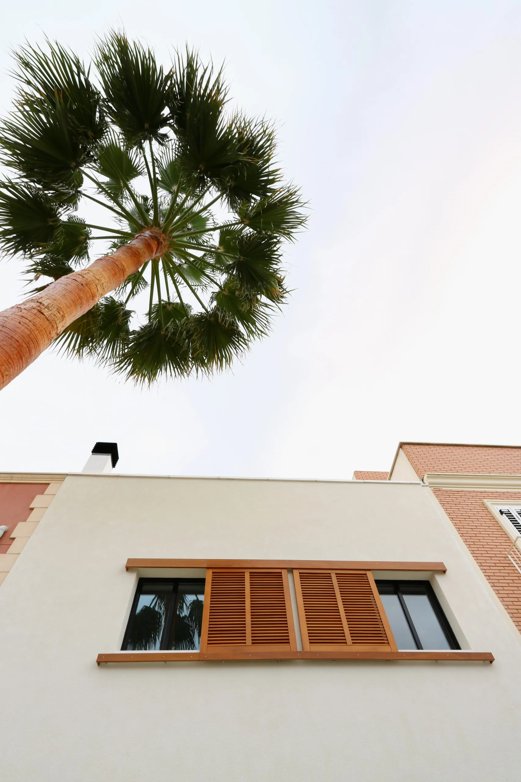 Casa palmera: imagen 3