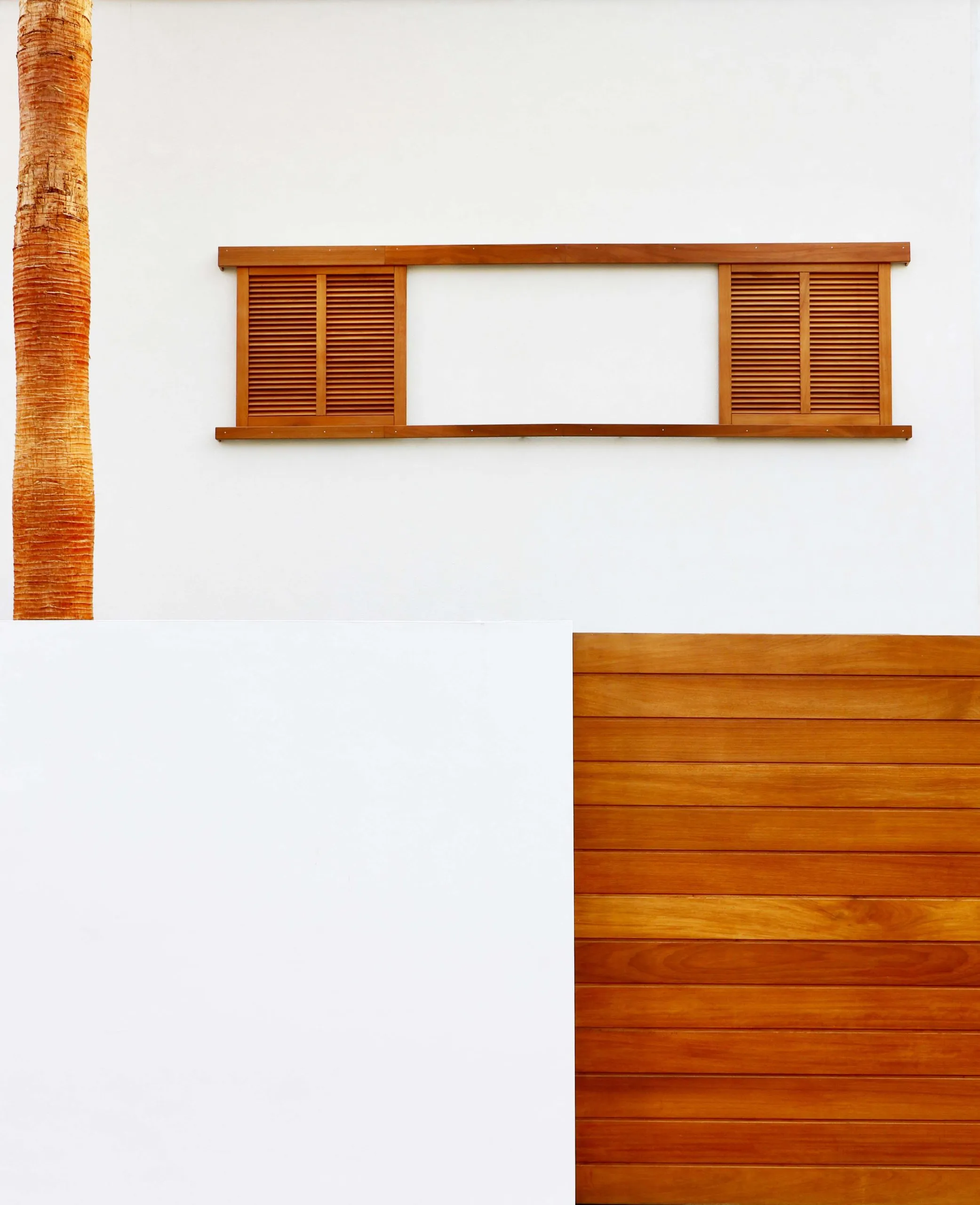 Casa palmera: imagen principal