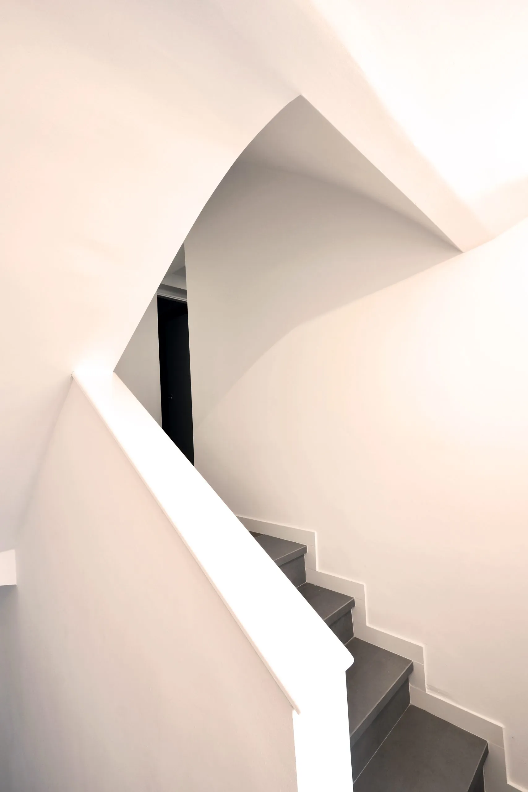 Casa palmera: imagen 5