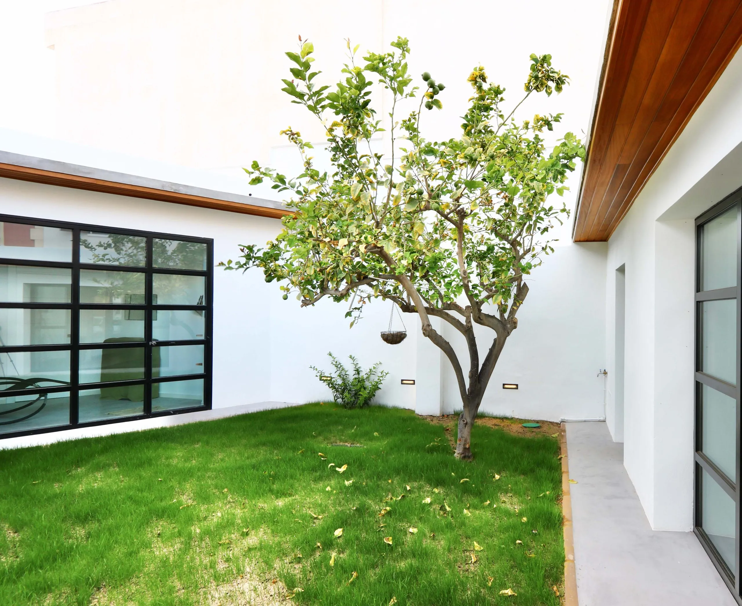 Casa palmera: imagen 2