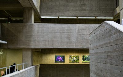 Formarse como arquitecto hoy